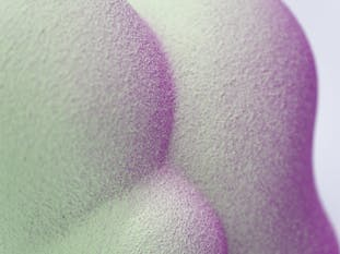 Gradation Form (LG/P) #02